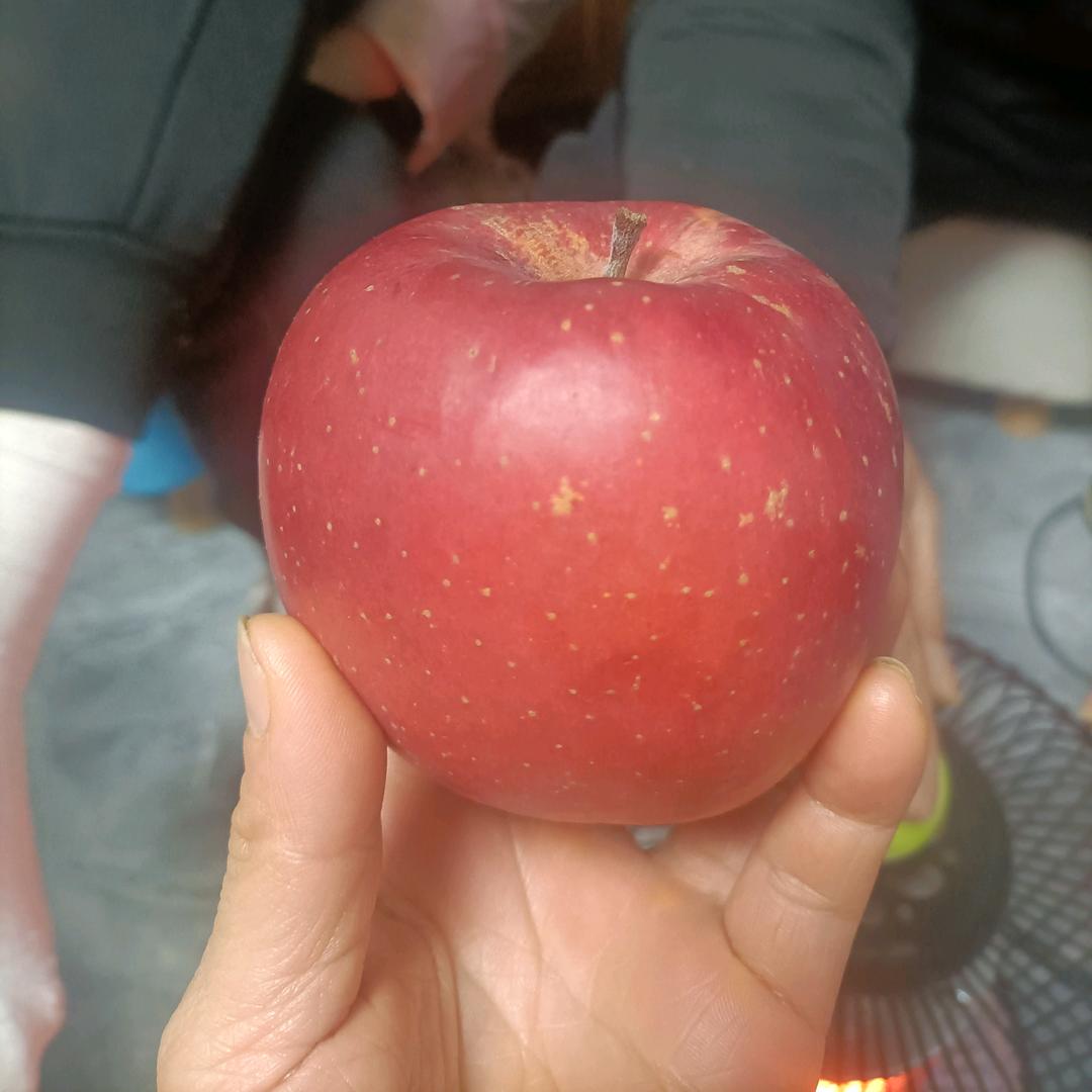 回忆也是一种幸福