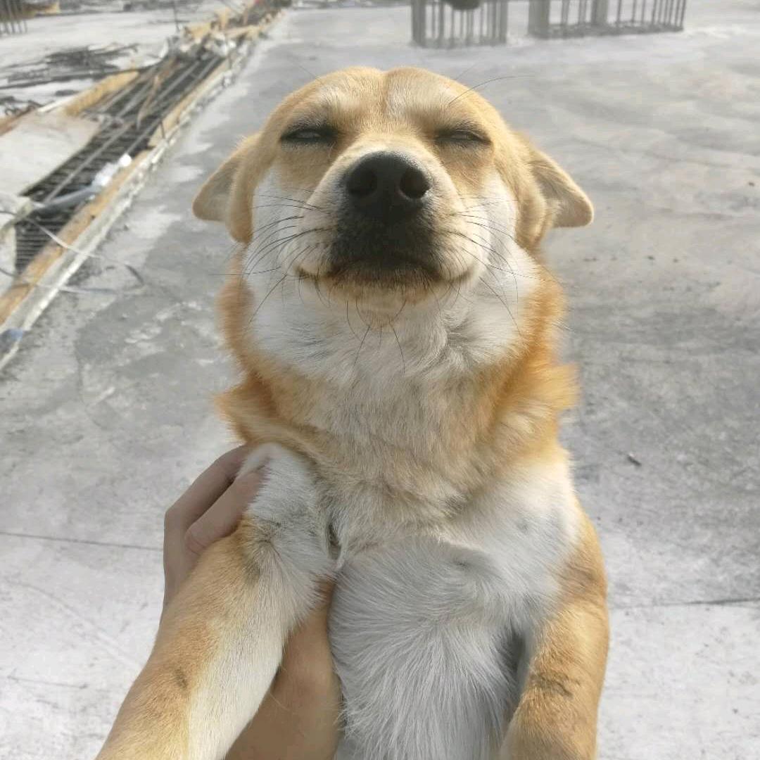 白白的