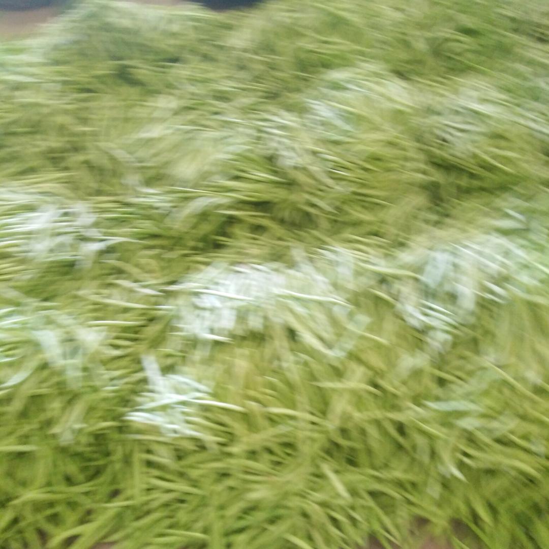 用户6011997383493