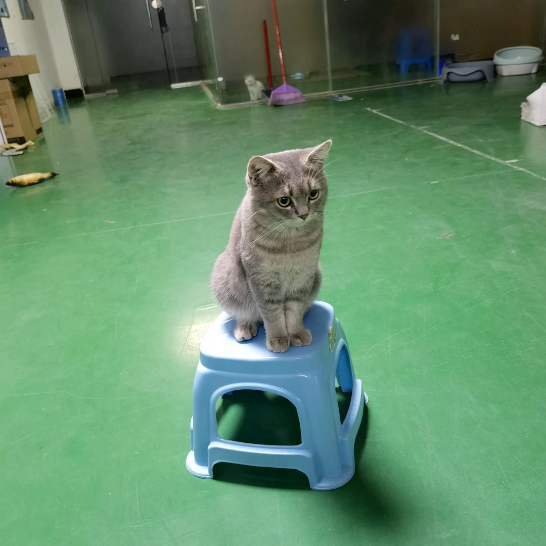 花开终有时