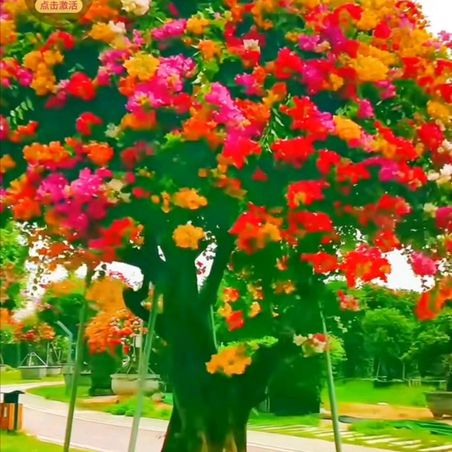 开心至上- ̗̀ ☺︎ ̖́-