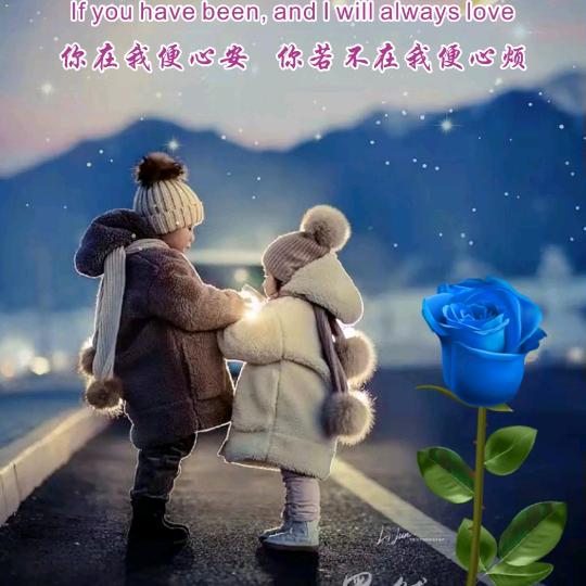 伤心💔的鱼