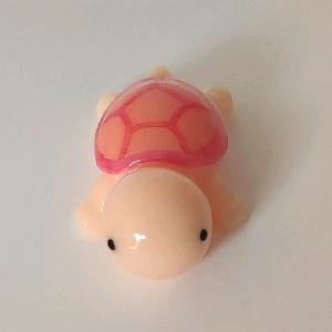 杰尼的养龟频道