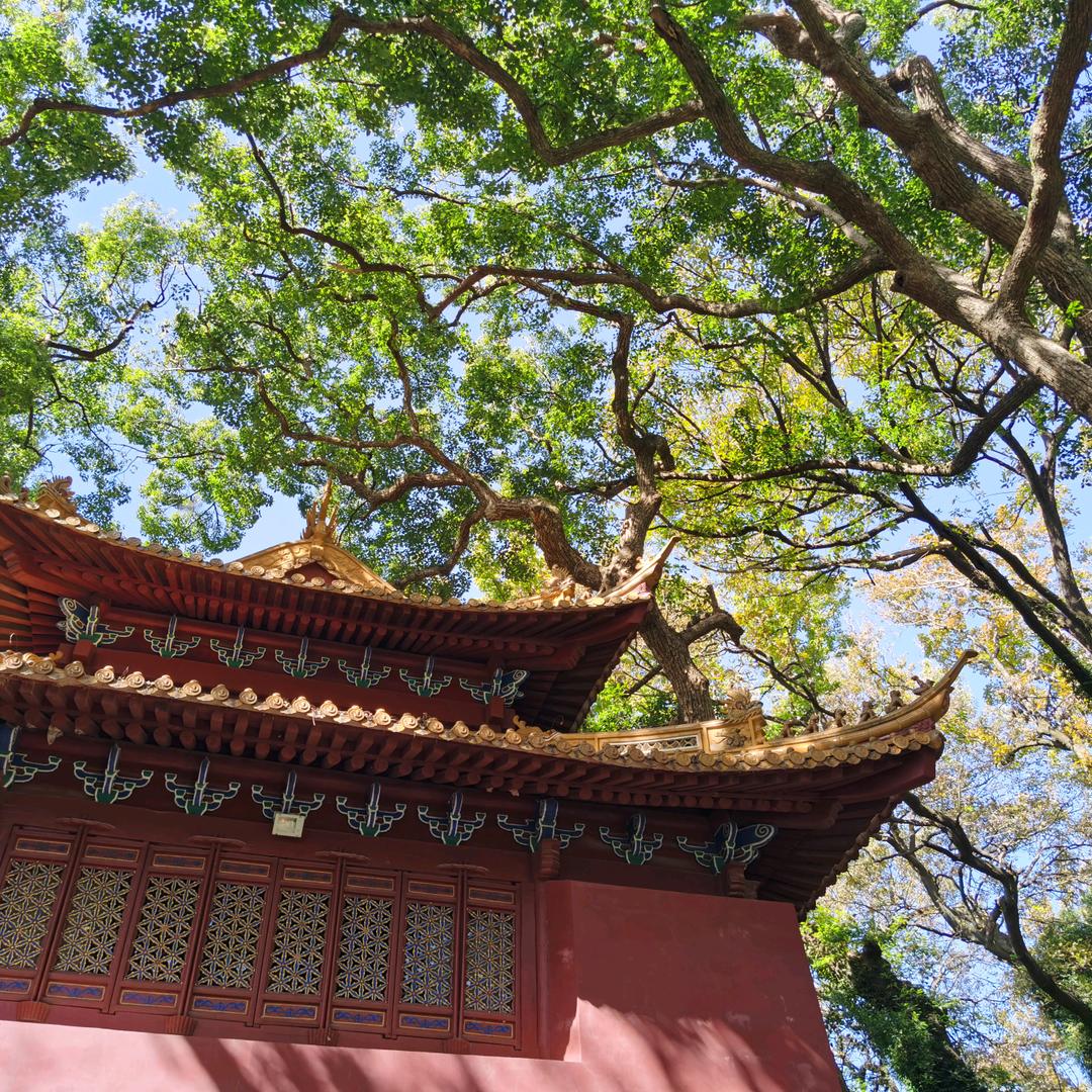 yue.