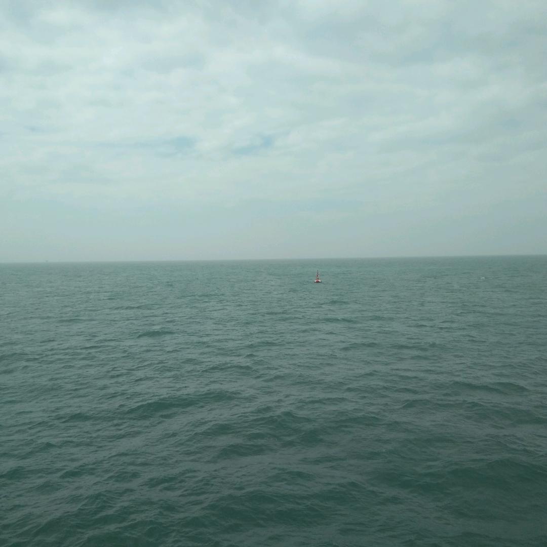 虎虎生威！虎年吉祥！