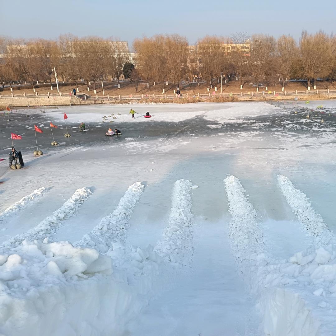 金哥