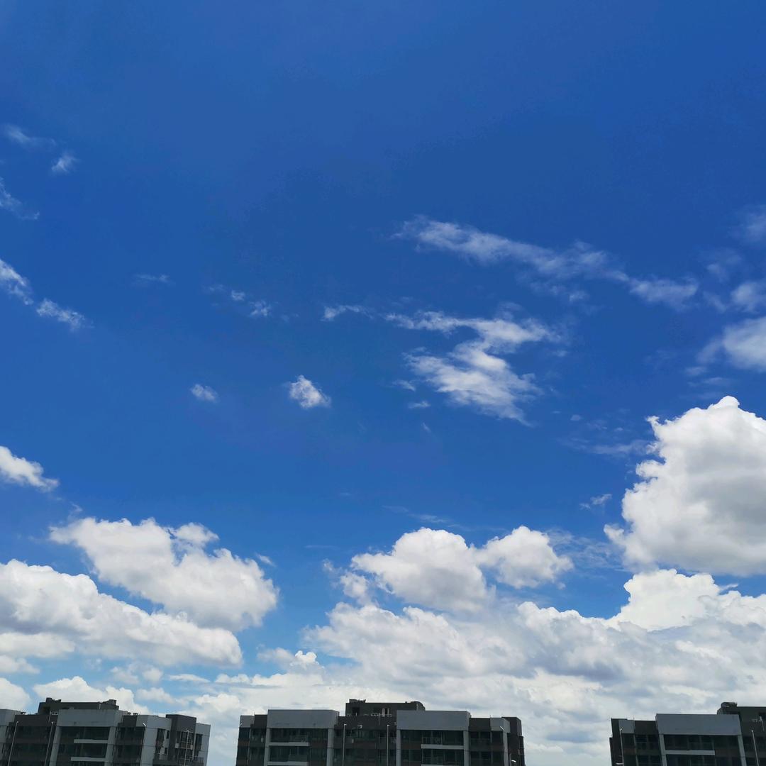 黎明前的黑暗头像