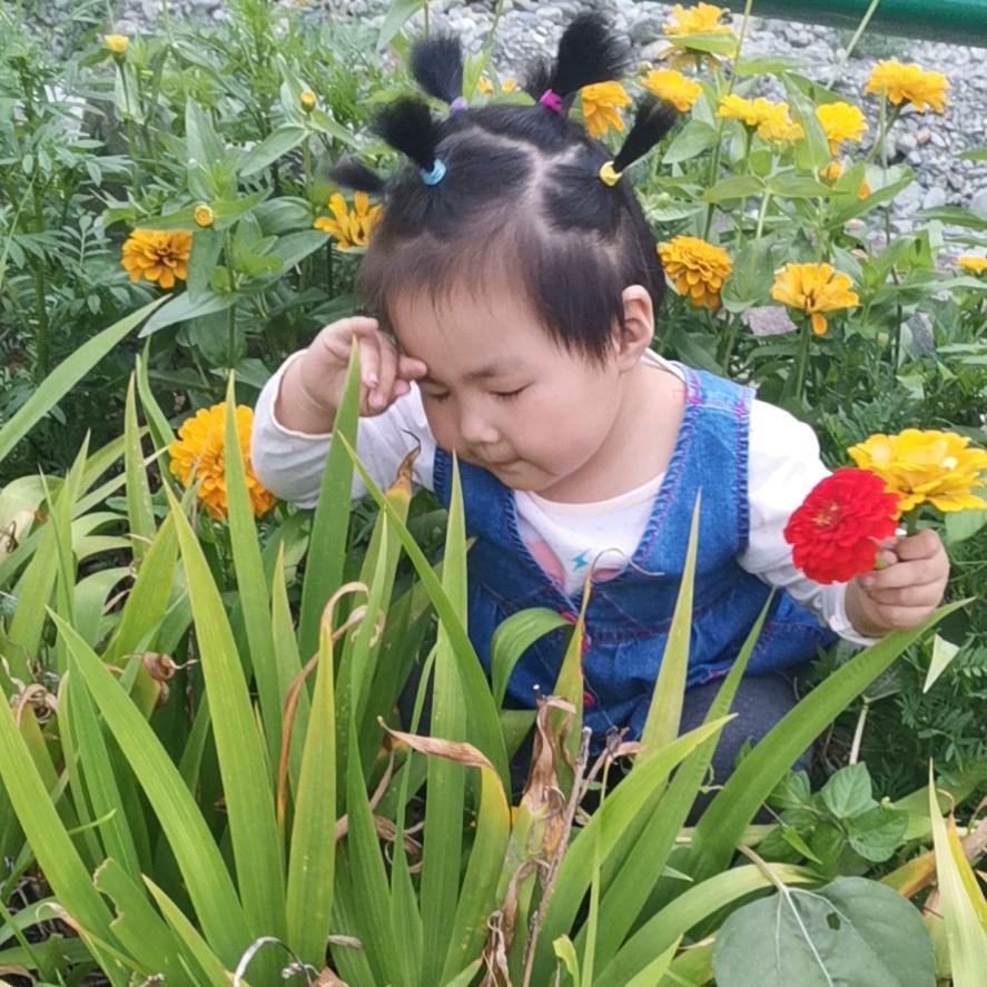 人生如梦（拒绝私聊）