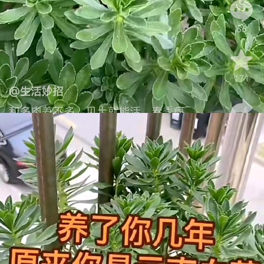 一生一世，我爱你