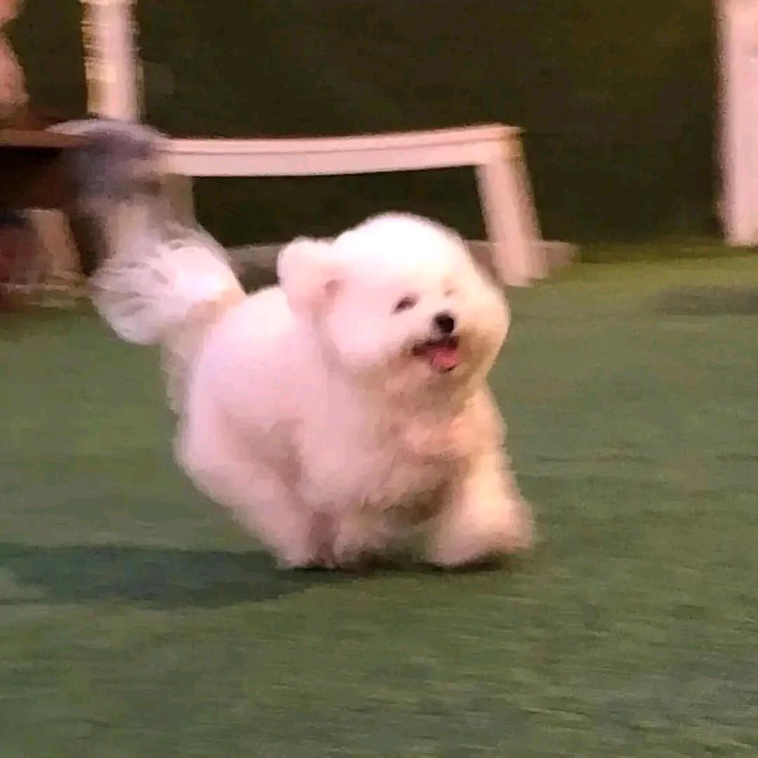 现烤小红徐