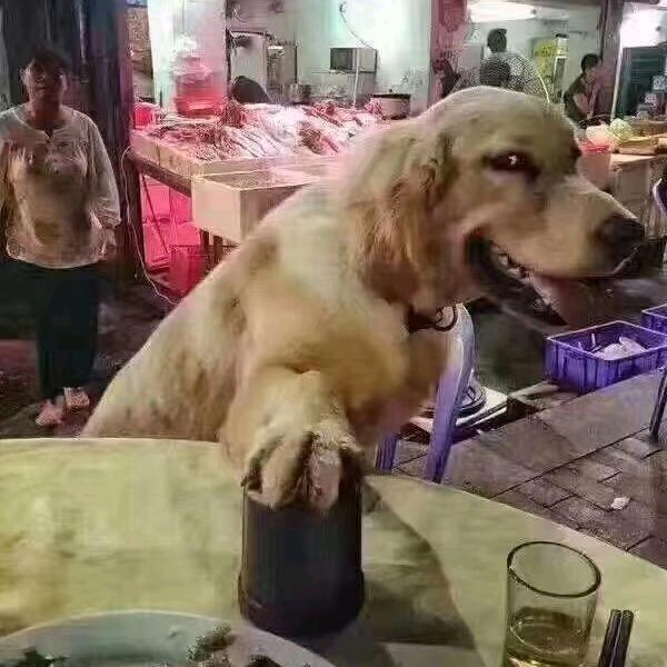 光哥