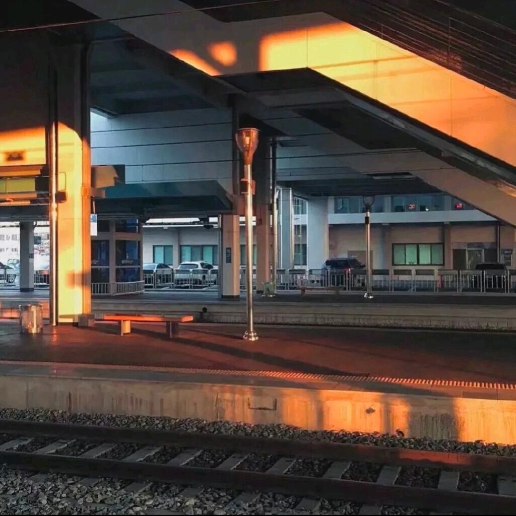 琳赫风华🌹₀₅.₁₆