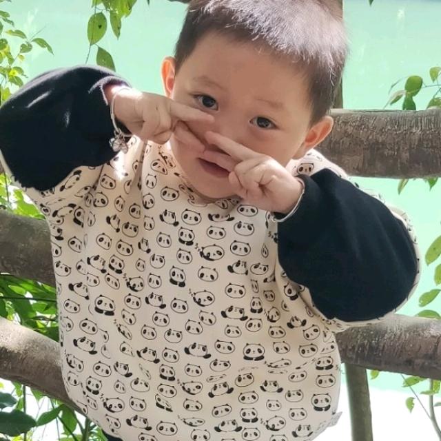 幸福长寿黄金茶