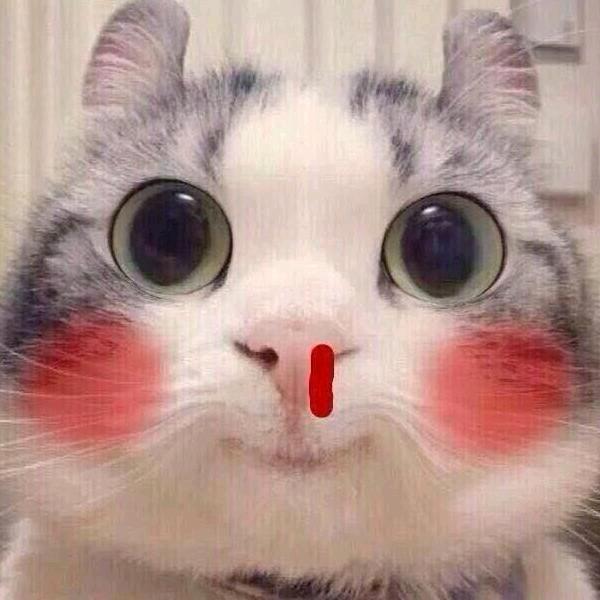 🌈崽灬崽