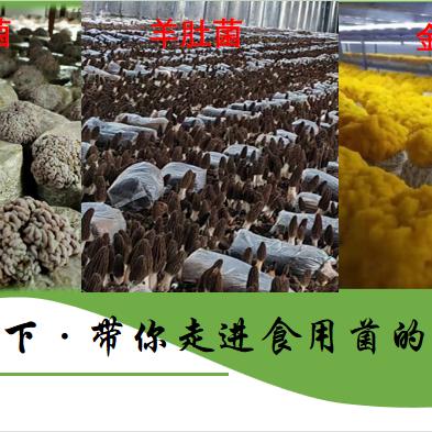 徐州硕讯生物科技发展有限公司