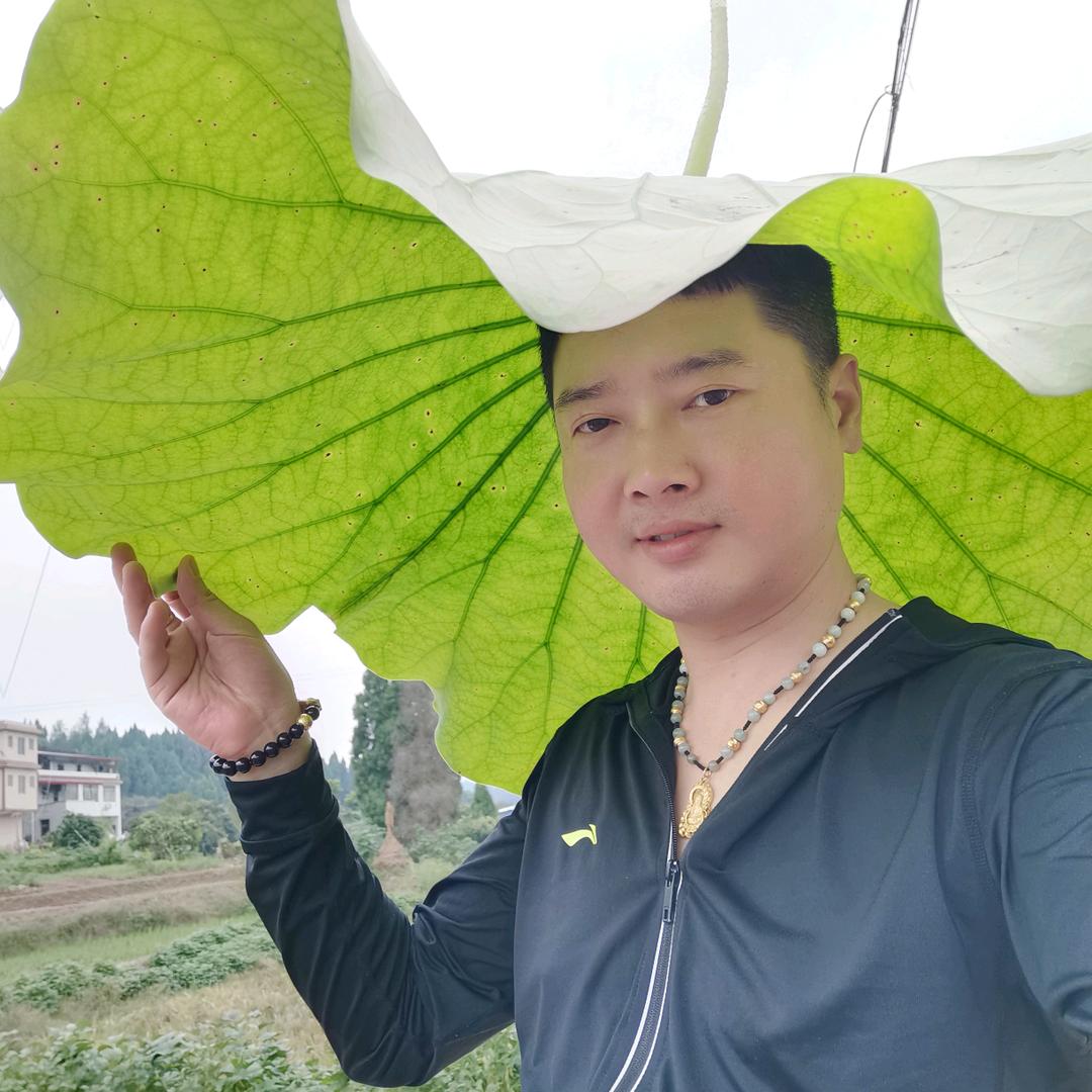 金帅