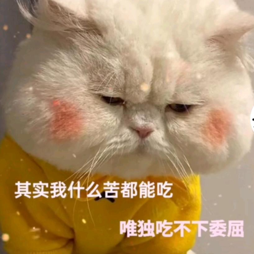 浅爱