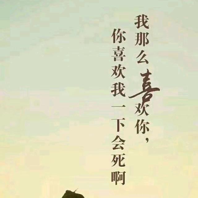 大连教练头像