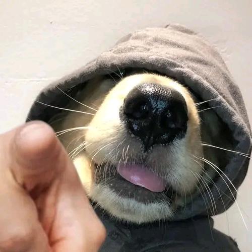 黄于晏