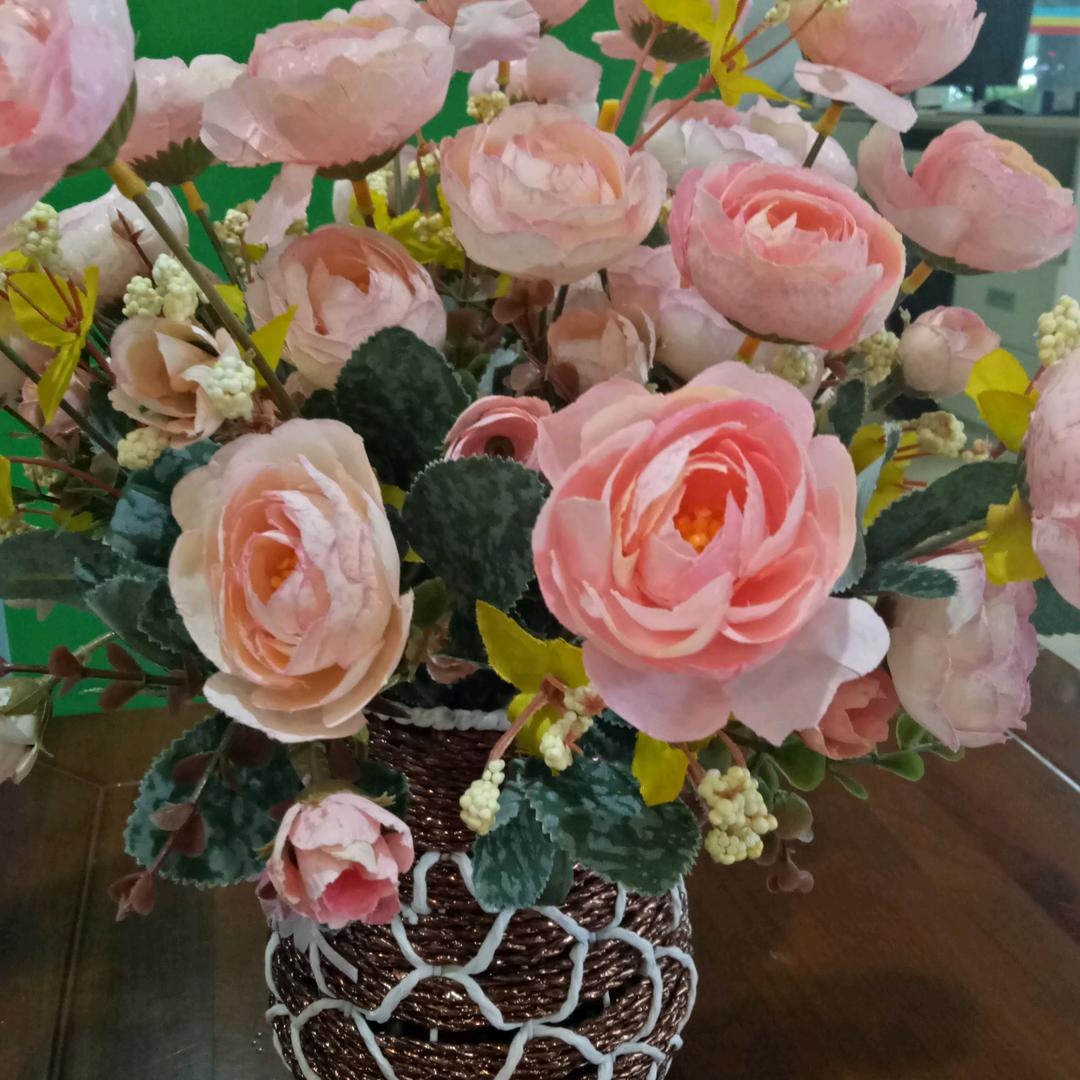 dy5yimud4sn6风雨过后见彩虹