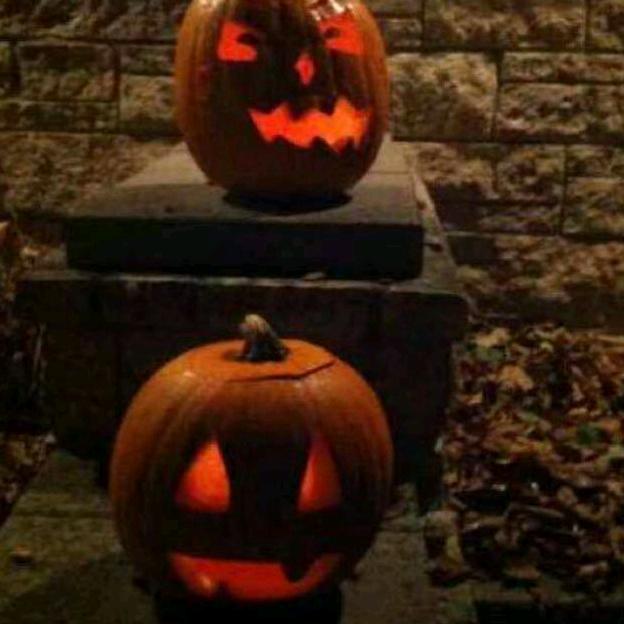 太阳当空照花儿对我笑