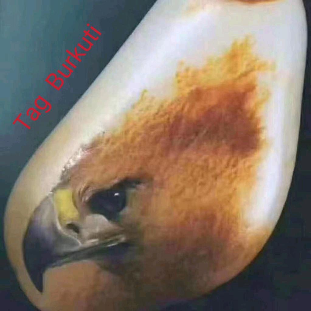 BURKUT