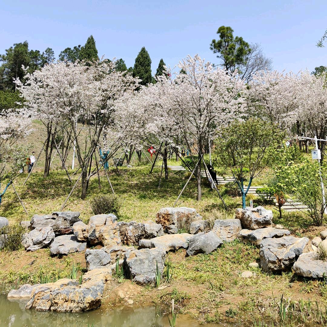 心只是痛了一下而已