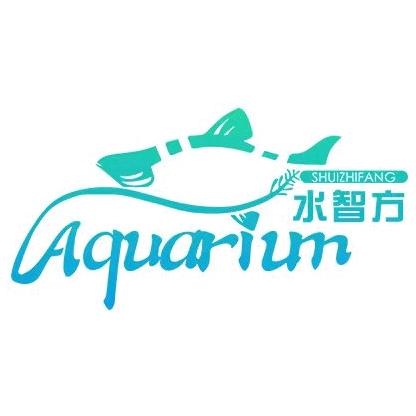 水智方宠龟水族专卖店