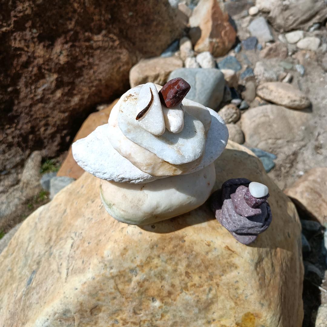 我是一颗小小的石头