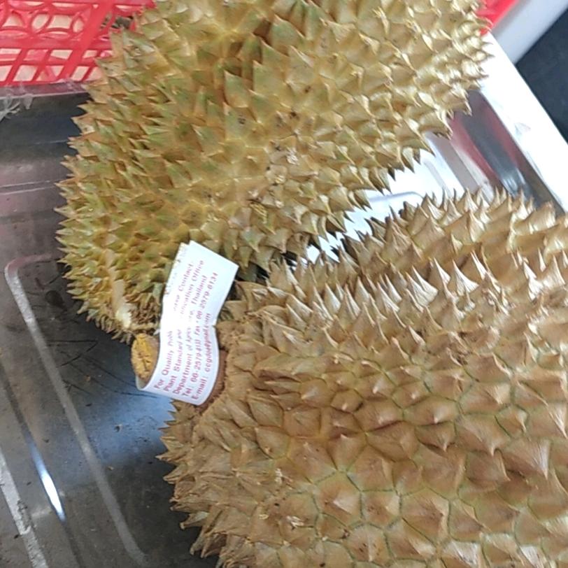 徐寨宇田水果