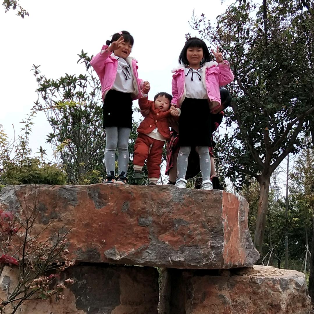 河南,广东往返六米八高栏(小曹)