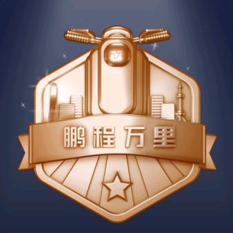 “雕”牌