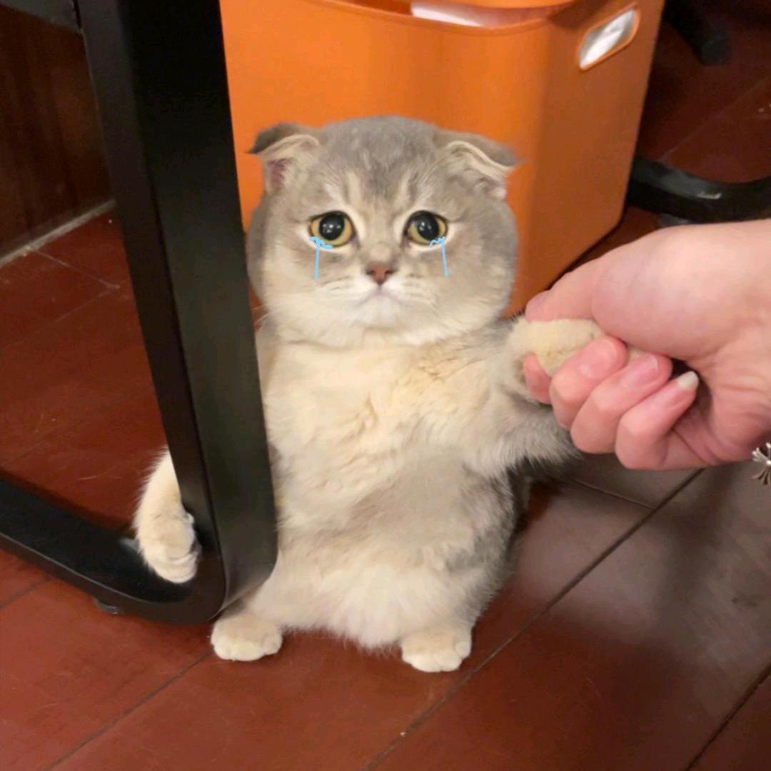 孤独的侠客
