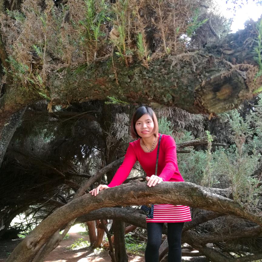 凌寒（爱山歌）