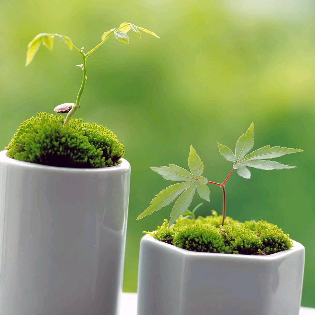 春风十里吹不动你