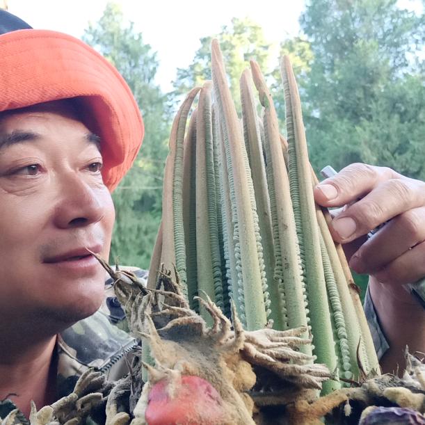 每天好心情