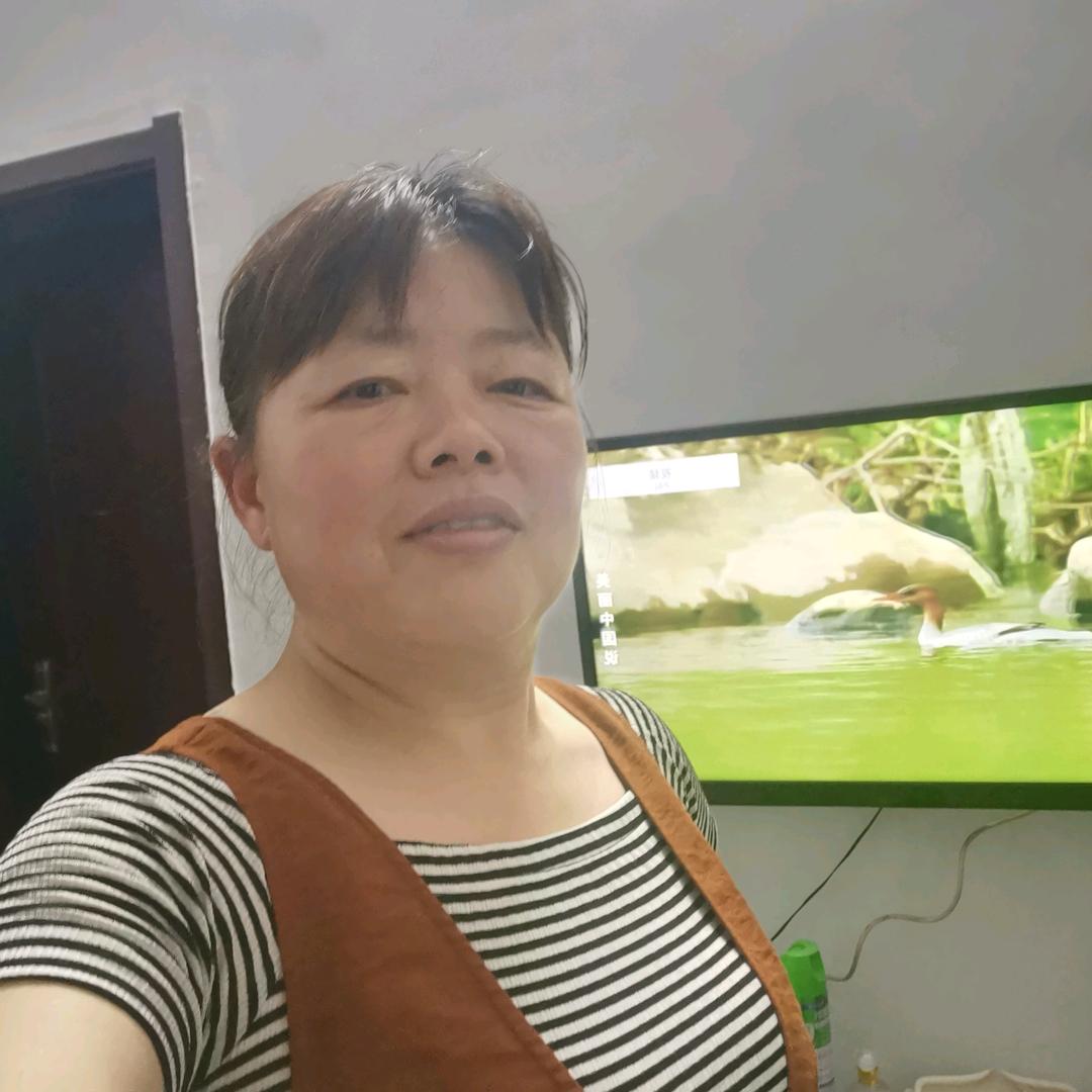 活动电话本