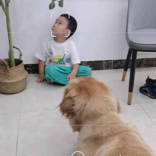 南有南曦
