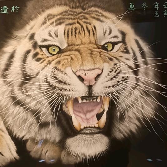 来了来了我来了