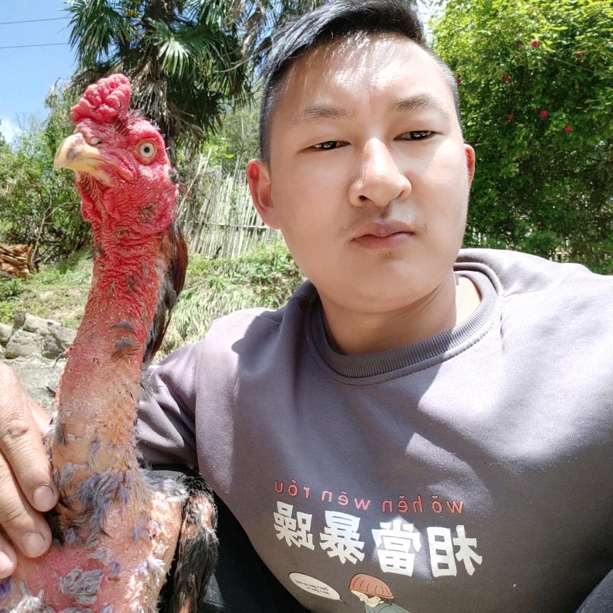 骑着蜗牛走天下