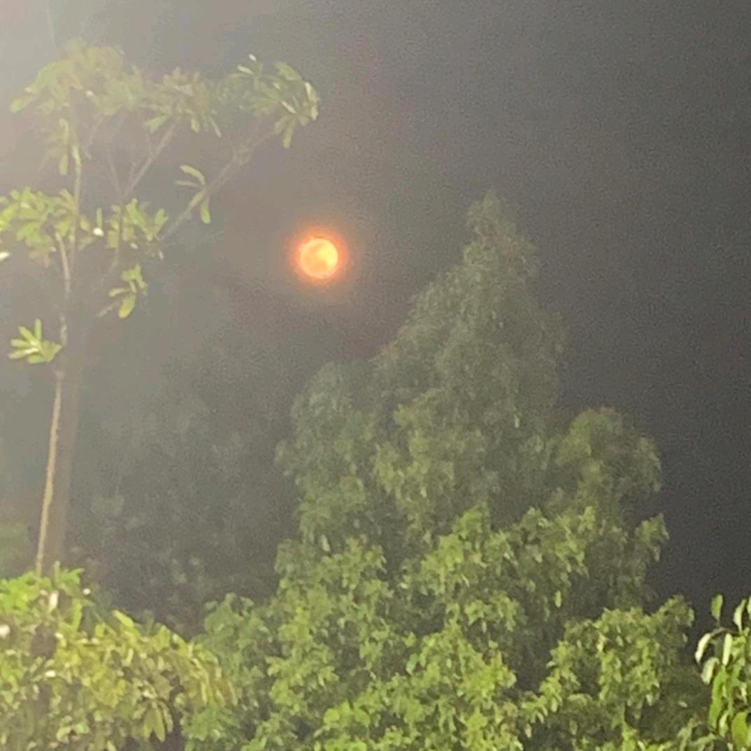 好运来，加油