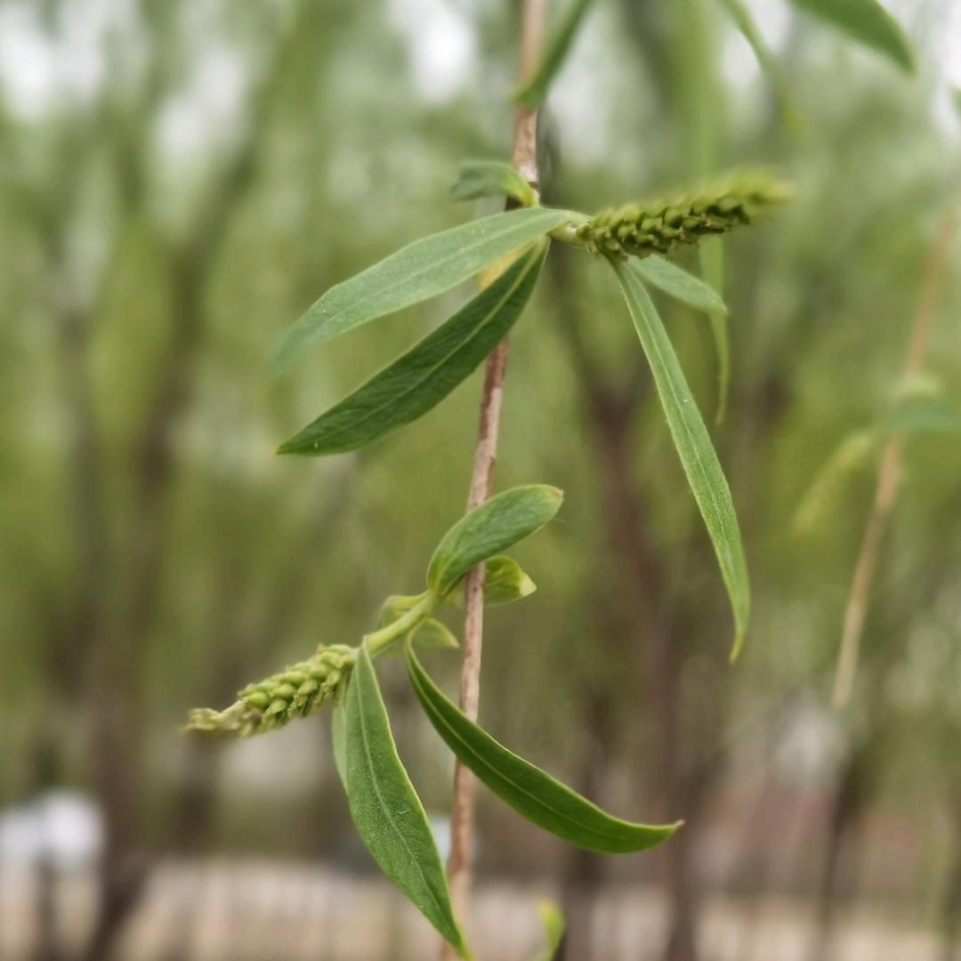 新征程