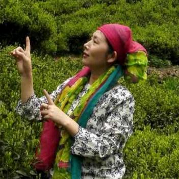 蓝媚姐（小号试播）