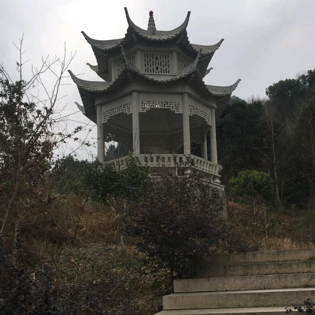 阿林