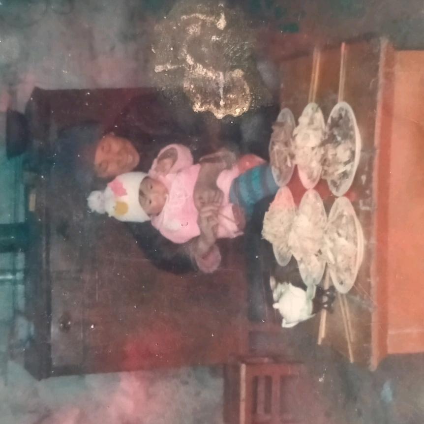 柠檬(๑><๑)小清新
