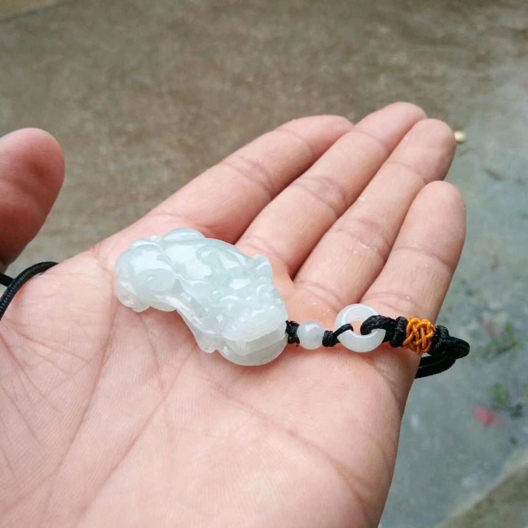 漫步枫林,