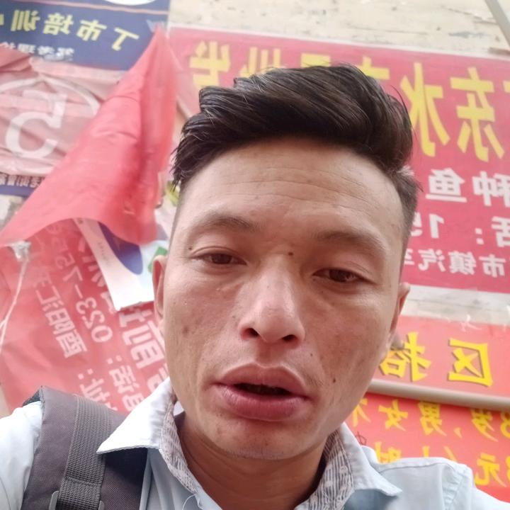 田超专业养各种牛羊