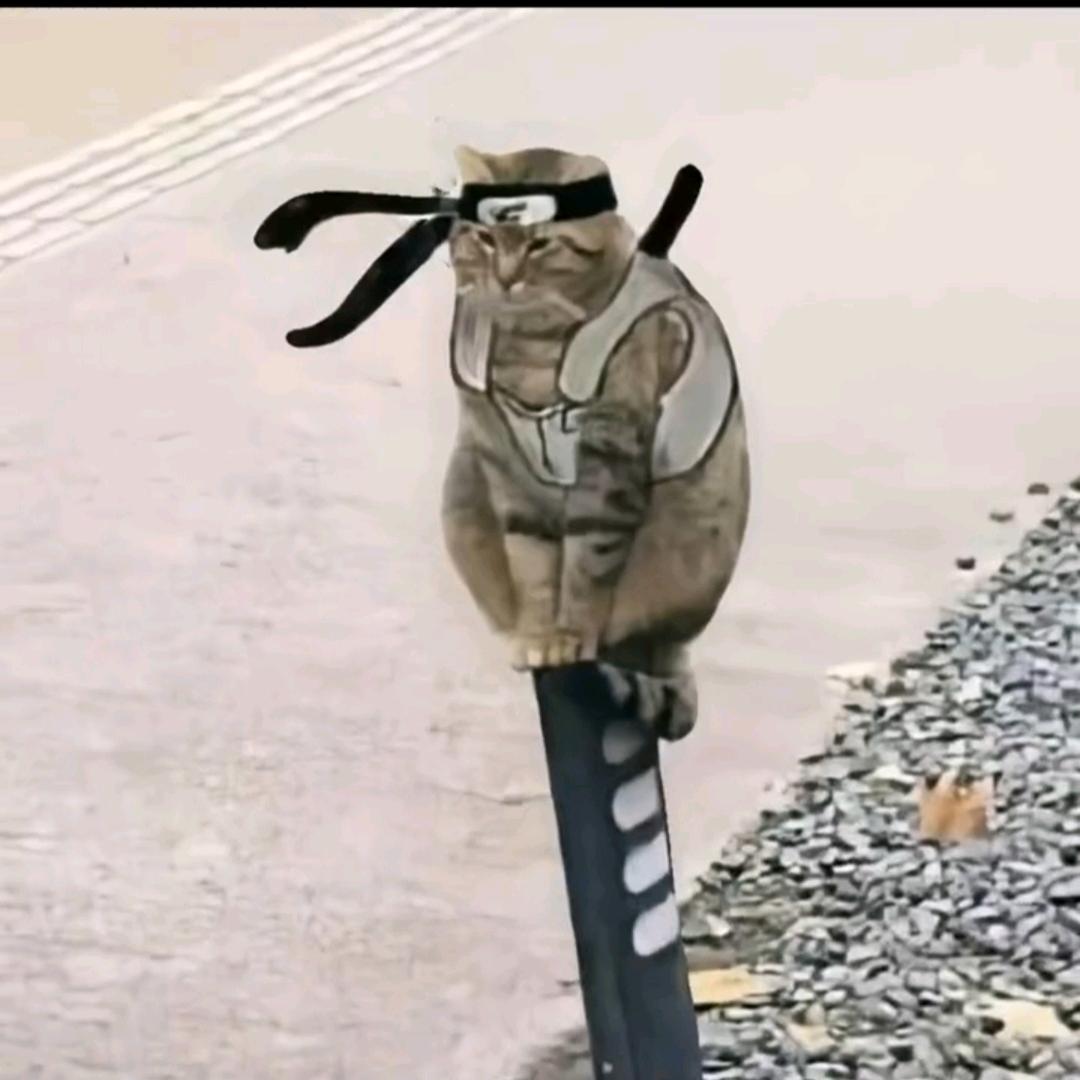 挽安哥哥
