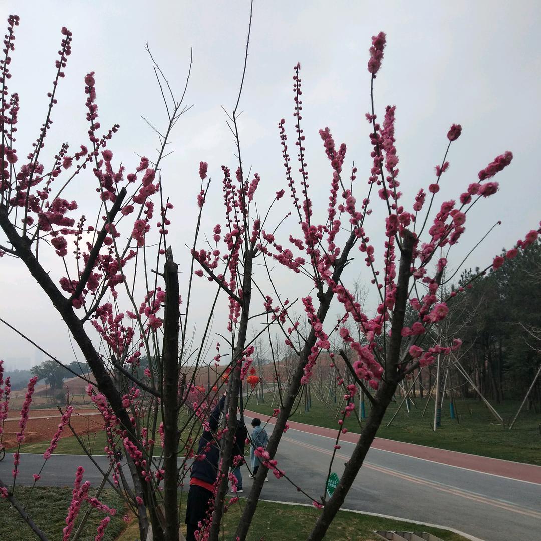 王喜梅。