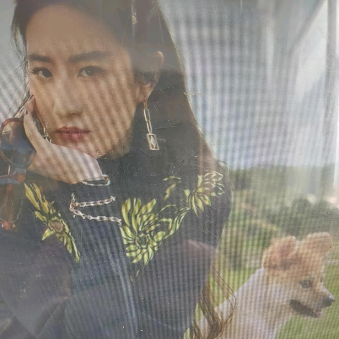 凤子东北土特产